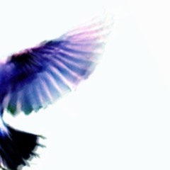 Pulsation (Baby Universe - Move)