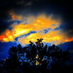 Nathan Robert Abbott