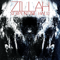 Zillahnoise