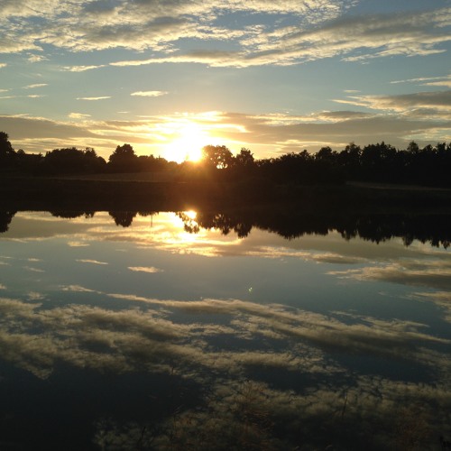 MIDI Sans Frontières (Reiswolf Remix)