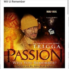 T.R.I.G.G.A (Gods Angel)