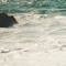 Paradise Calling
