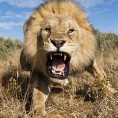 DJ Amp J. Productions