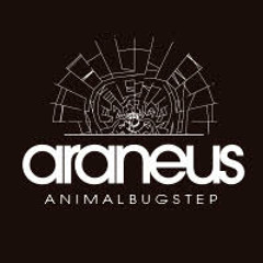 Araneus