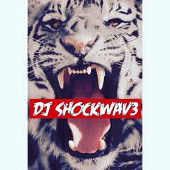 DJ SHOCKWAV3