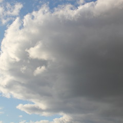 Philly the Phied Phipher