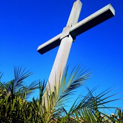 Sermon 040520 Palm Sunday Hosanna Lynn Francis And Guest Mike Vantrease FINAL