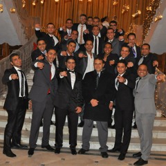 amr elsharkawy