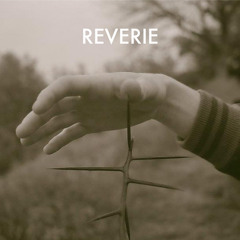 Reverie