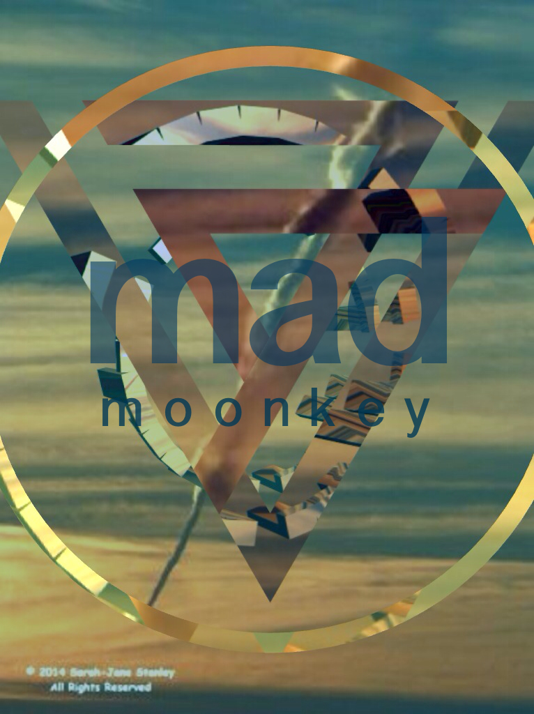 MadMoonkey