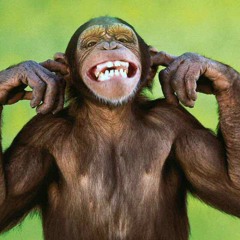 Monkey Butter 🙈🙉🙊