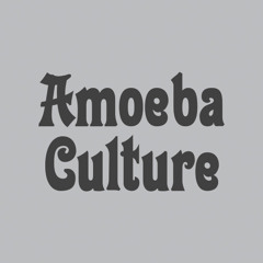 Amoeba Culture