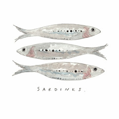 Radio sardines