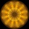 Neuronic