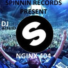 Martin garrix - Lions in the wild vs dragon (DJalfhid Mashup)