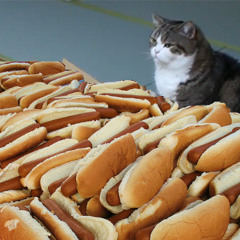 pfefferkatze