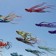 Flying Octopi