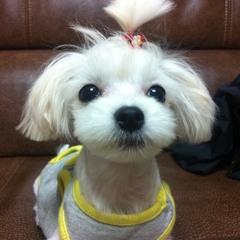 KimSo