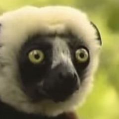 DeL