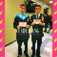 Fade Gang