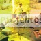 Los Piojentos