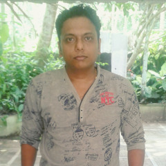 Bibin Mannodiyil Gopinath