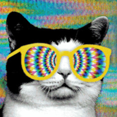 catnip