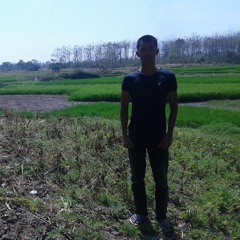 Muhammad Insani Ghifar