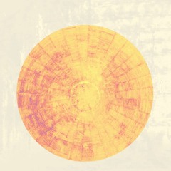 Katharina Grubmüller