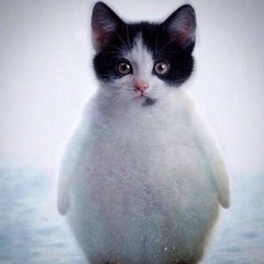 PenguinCat