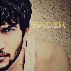 محمد الباقر الزيدي