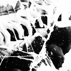 user4318910326509749