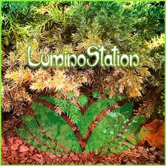 Luminostation