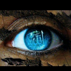 saydhat87