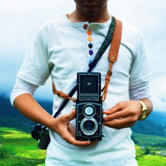 m.trinh