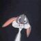 splifty