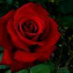 فاطمه يعقوبه