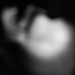 impostafabricazionespirti