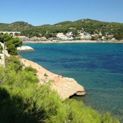 pétrouche