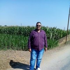 Waled Mohmed