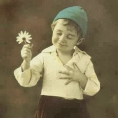 ‫يوسف فريد‬‎