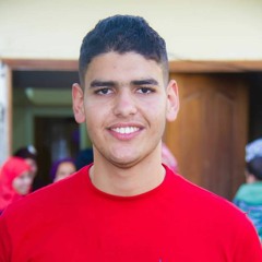mohamed elhawary 14