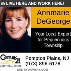 Annmarie De George