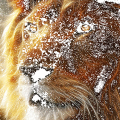 ‫فرج العمامي‬‎