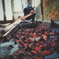 Vindy Andika Perdana