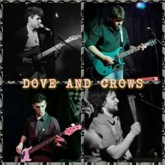Dove And Crows