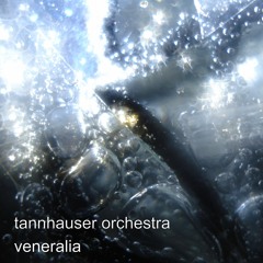 Tannhauser Orchestra