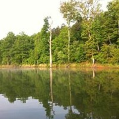 Kevin HangDang Hardy