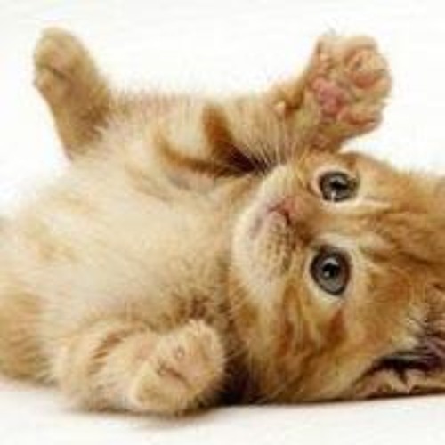 IPhone Ring Tone Remix By Kemical Kidd