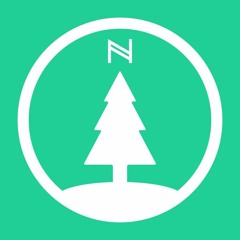 noelfield